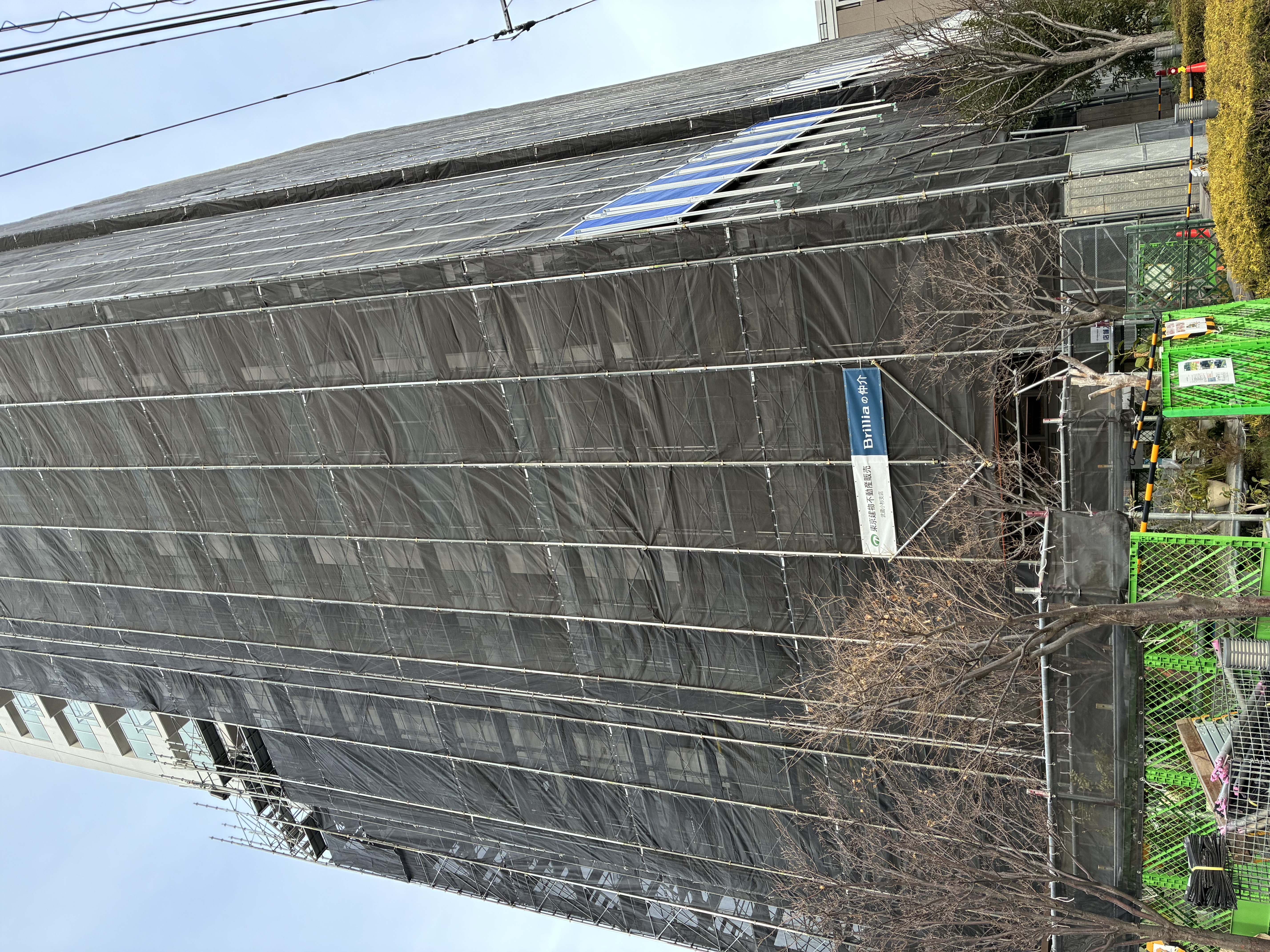 20260126-IMG_0094.jpeg