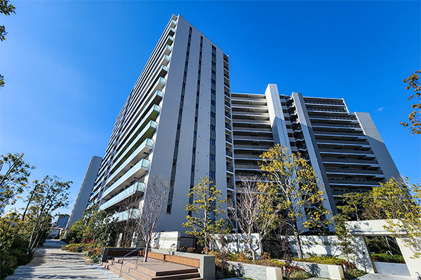 20260221-05.jpg