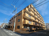 外観図