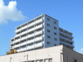 外観図