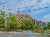 外観図