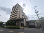 外観図