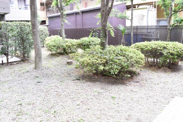 パールハイツ恋ヶ窪の画像14