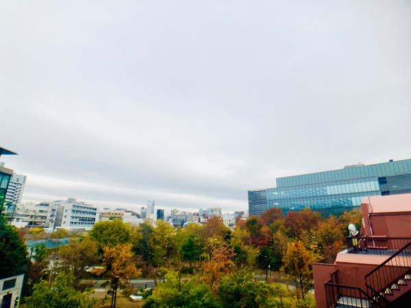 グランマルジュ市ヶ谷の画像8