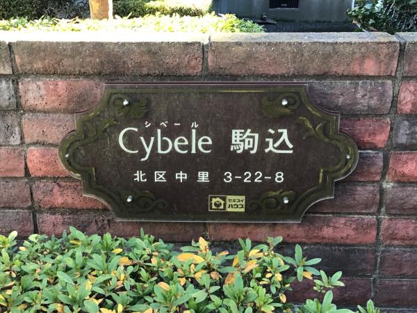 Ｃｙｂｅｌｅ駒込の画像11