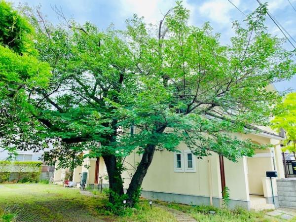 茅ヶ崎東海岸南３丁目テラスハウスの画像11