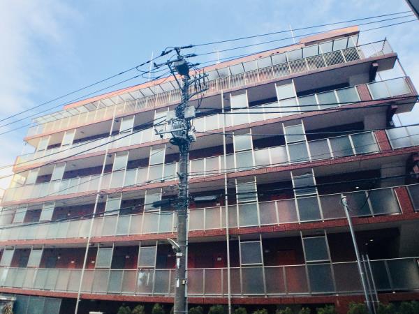 スターハイムの画像11