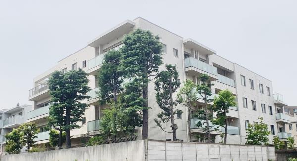 ＤＯＧＷＯＯＤ南麻布の画像13