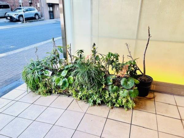KDXﾚｼﾞﾃﾞﾝｽ御徒町の画像13