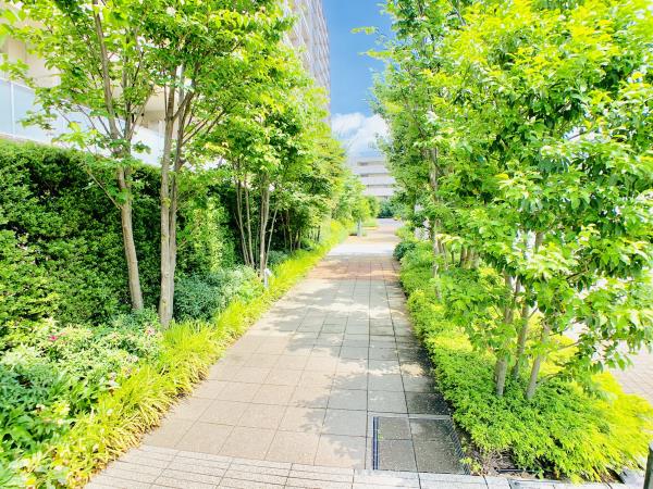 Brilliaときわ台ソライエレジデンスの画像11