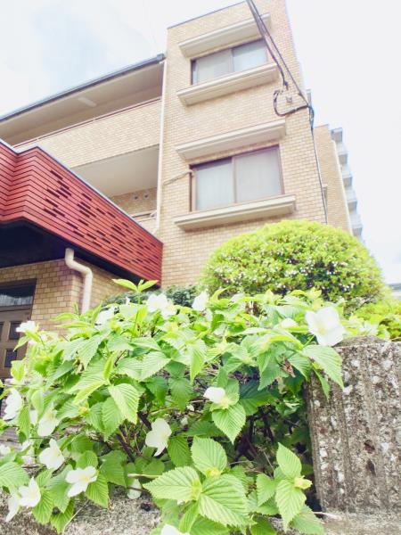 グランドール梶山の画像13
