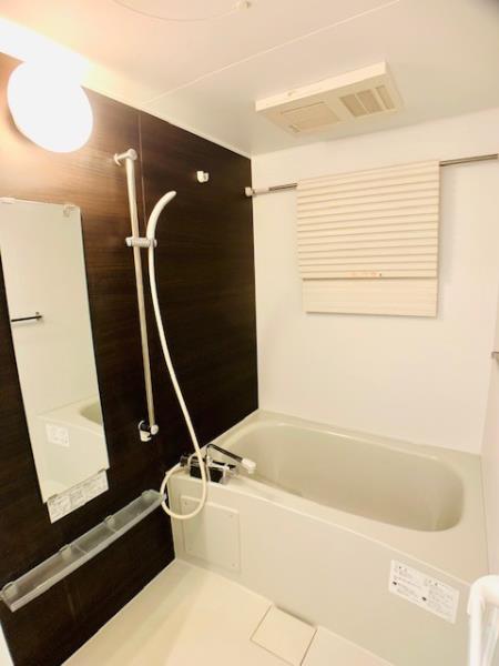 プレシャスカーサ　雑色の画像7