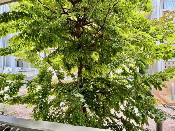 WELL　House　東大井の画像8