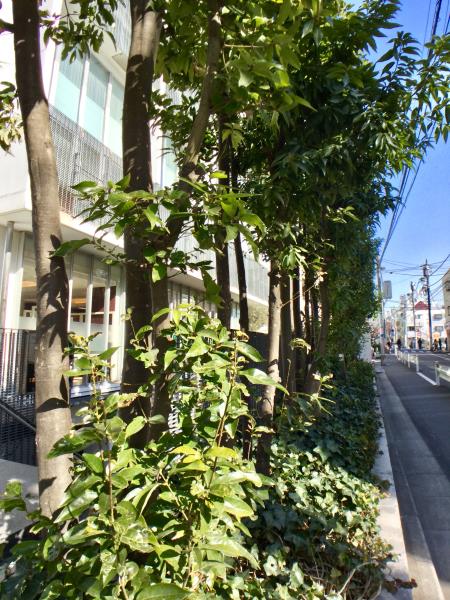 SS-Dの画像13