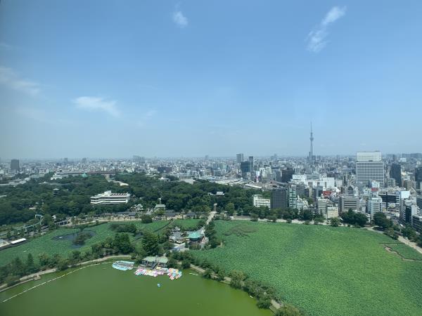 BrilliaTower上野池之端の画像8
