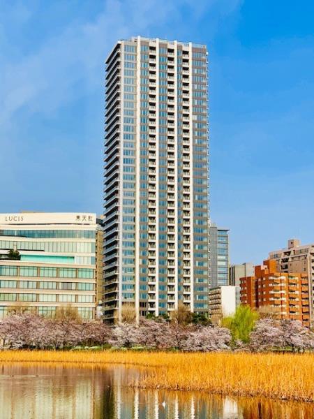 BrilliaTower上野池之端の画像13