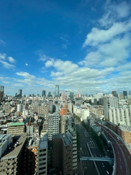 白金ザ・スカイ東棟の画像8