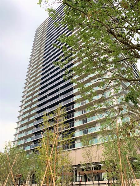 Brillia Tower 聖蹟桜ヶ丘 BLOOMING RESIDENCEの画像11