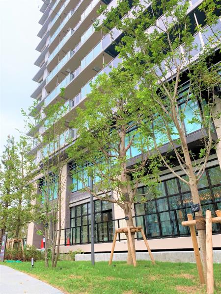Brillia Tower 聖蹟桜ヶ丘 BLOOMING RESIDENCEの画像12