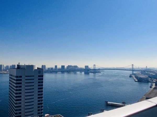 Brillia Tower 浜離宮の画像8