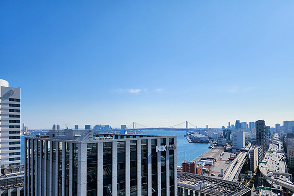 Brillia Tower 浜離宮の画像8