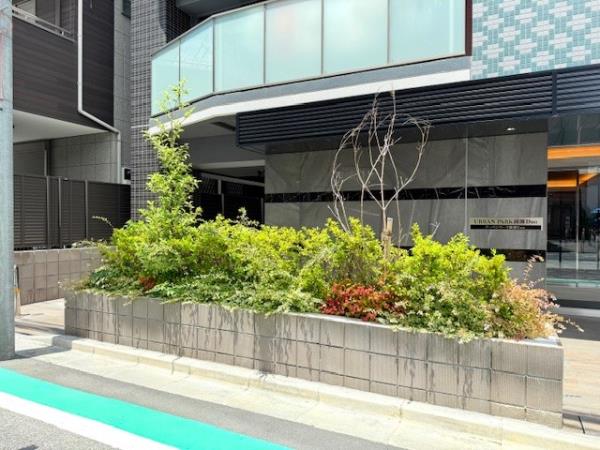 Solast Square綾瀬の画像13