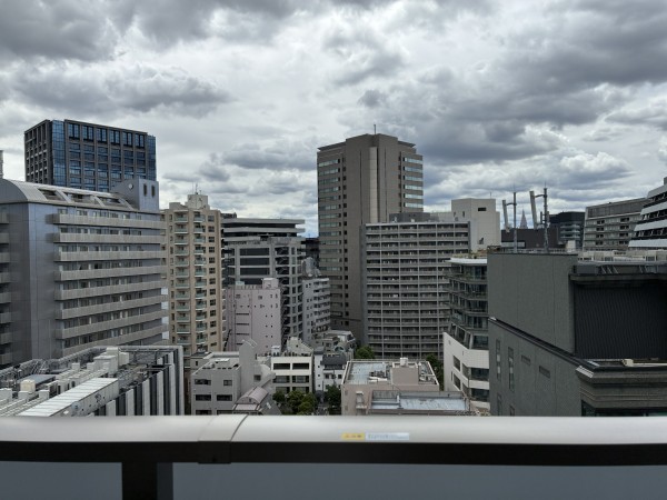 Brillia二番町の画像8