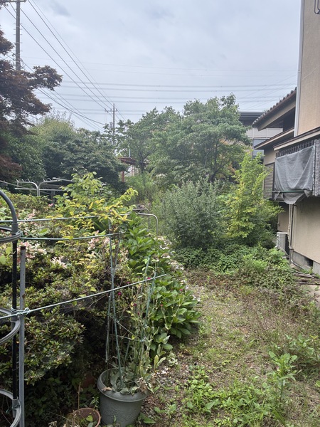 南東側公道接道につき日当たり良好。