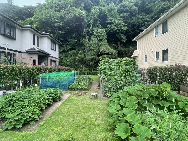 現地