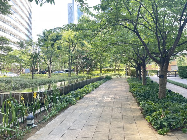 敷地内緑地