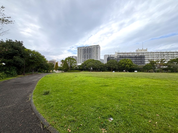 周辺には奥田公園や新林公園を始めとした公園が点在しています