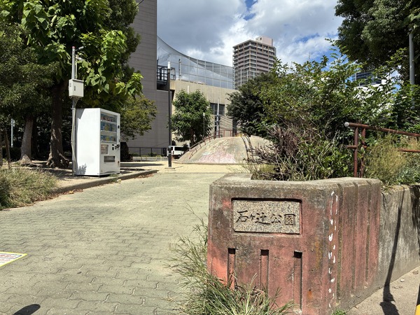 公園　２０２６／９／１撮影