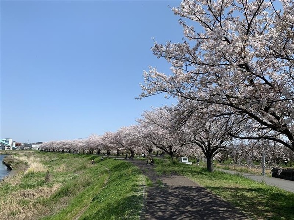 【鴨居駅付近の河川敷】 ◇春には桜が咲くので、お散歩が楽しくなります♪