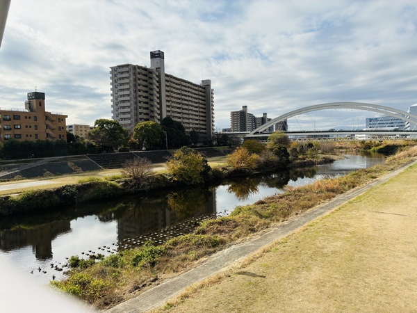 【鴨居駅付近の河川敷】 ◇冬になると春と違った景色を楽しむことができます！