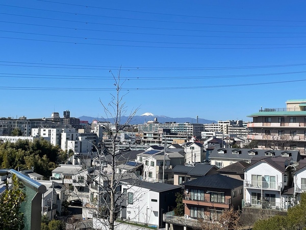 スカイテラスから望む富士山