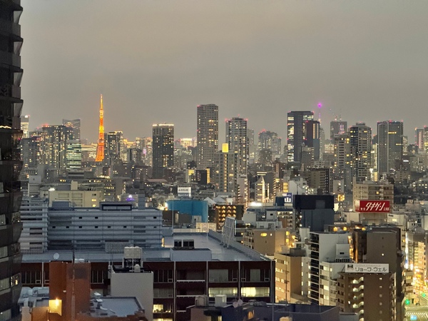 東京タワーを望む眺望