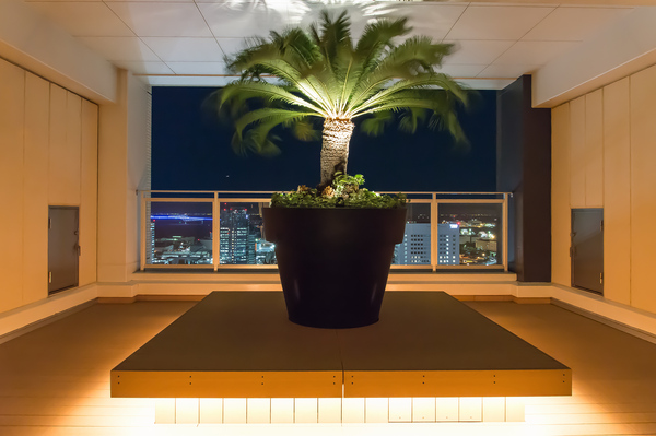 サウステラス（３３階）