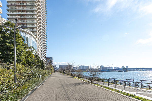 その他の画像26