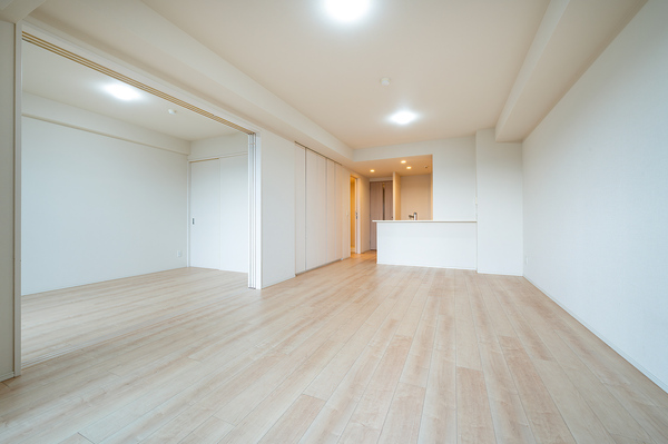 ＬＤＫ：約１６．３帖