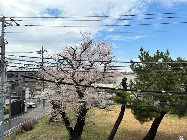 各階の北西側窓からは桜も望めます