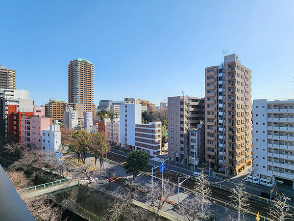 春は桜並木が目の前に広がります。