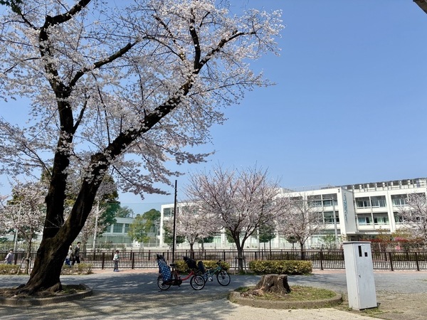 １～３号棟は練馬区立石神井小学校への距離が近い棟となっております。