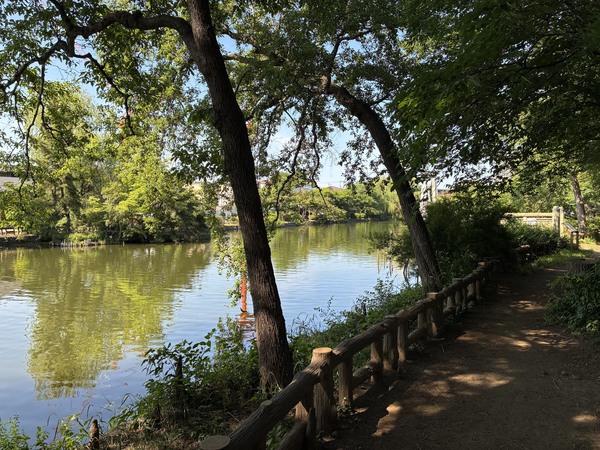 石神井公園　５４０ｍ
