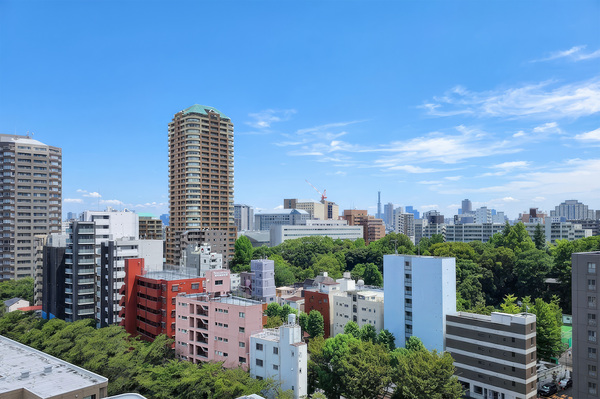 現地からの眺望（２０２６年９月）撮影 別角度の眺望でございます。