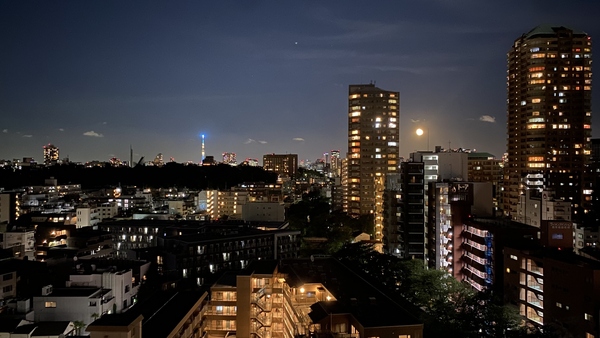 現地からの眺望（売主様ご提供）東京スカイツリーのライトアップも望むことができます。