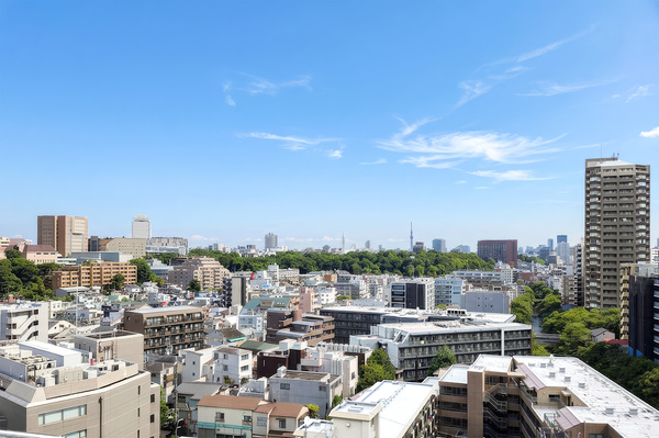 現地からの眺望（２０２６年９月）撮影 視界を遮るものがなく１２階からの眺望をお楽しみいただけます！