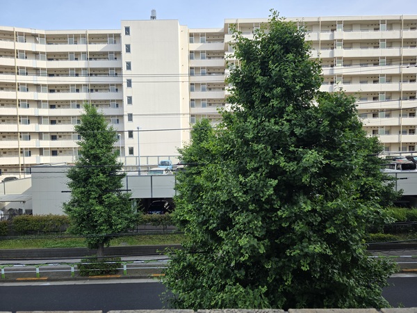 南東向き眺望です