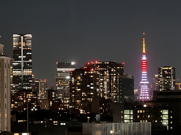 【バルコニーからの眺望】１５階から都心を見渡す眺めは、日中だけではなく夜景もお楽しみいただけます。