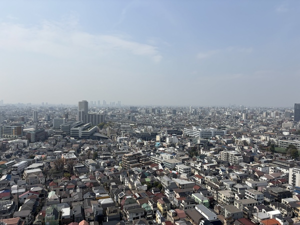 南西側の眺望。周辺は低層の建物が多いため抜けた眺望を楽しむことが出来ます