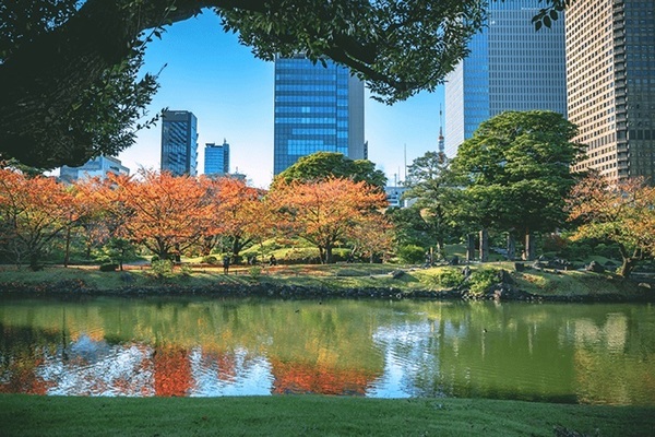 「旧芝離宮恩賜庭園」、約６００ｍ、徒歩８分